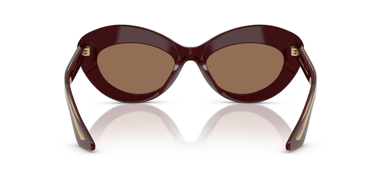 178973 - Violet - Brown