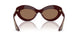 178973 - Violet - Brown