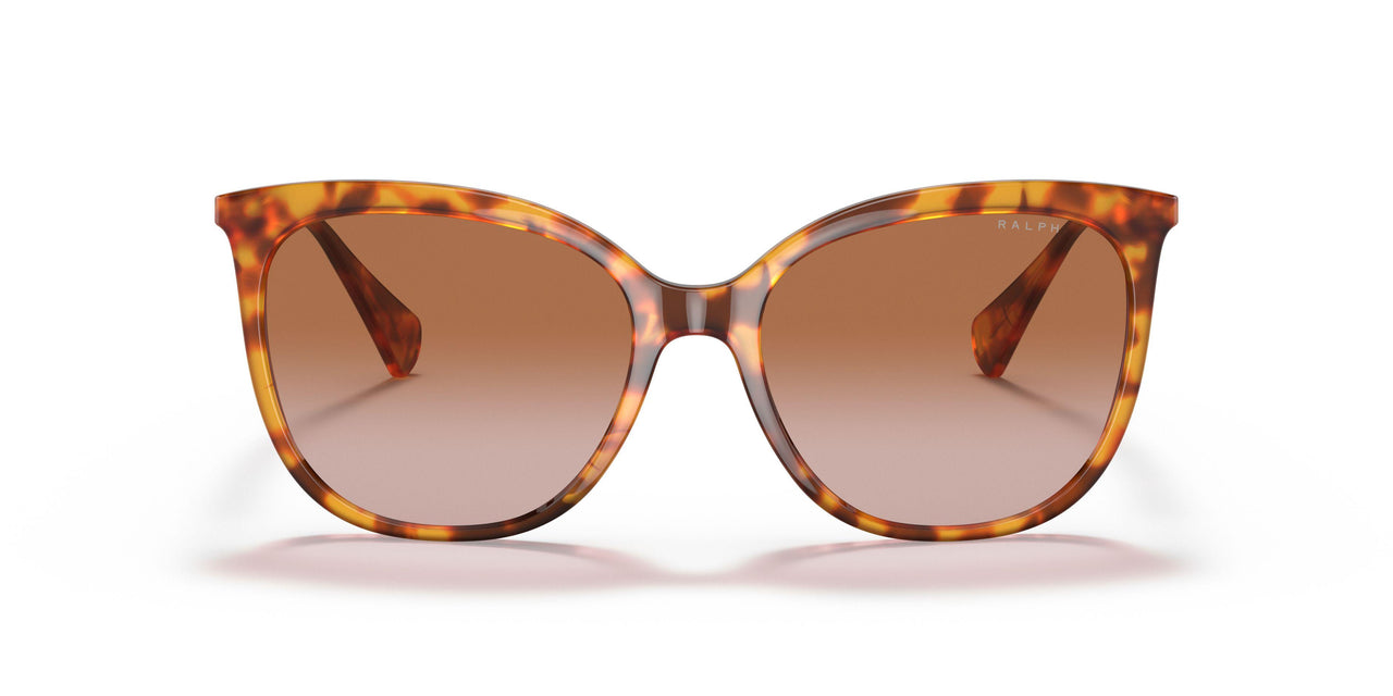 591113 - Havana - Gradient Brown