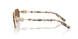 488/73 - Gold - Dark Brown