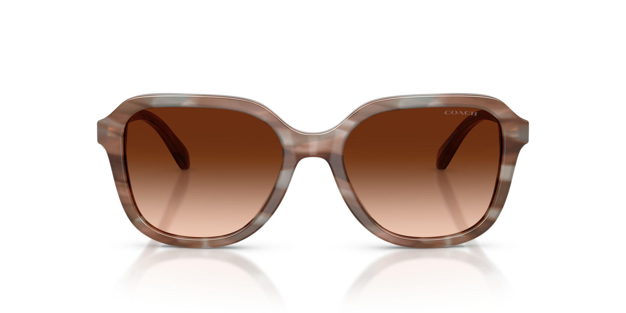590174 - Brown - Brown Gradient