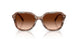 590174 - Brown - Brown Gradient