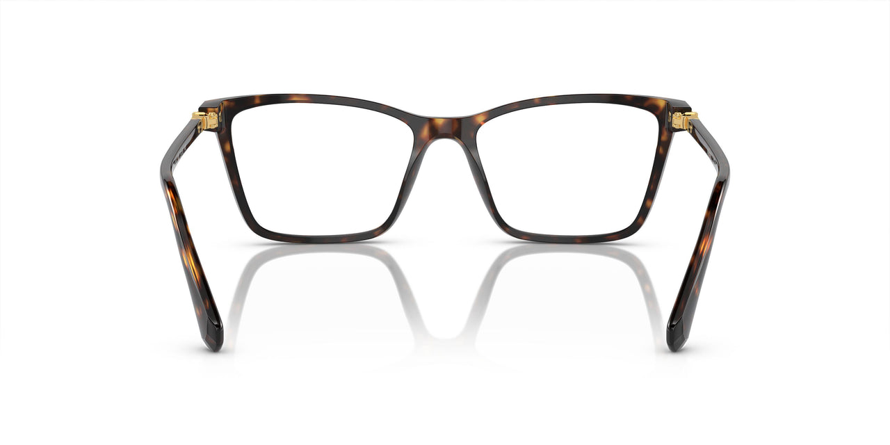 1002 - Brown