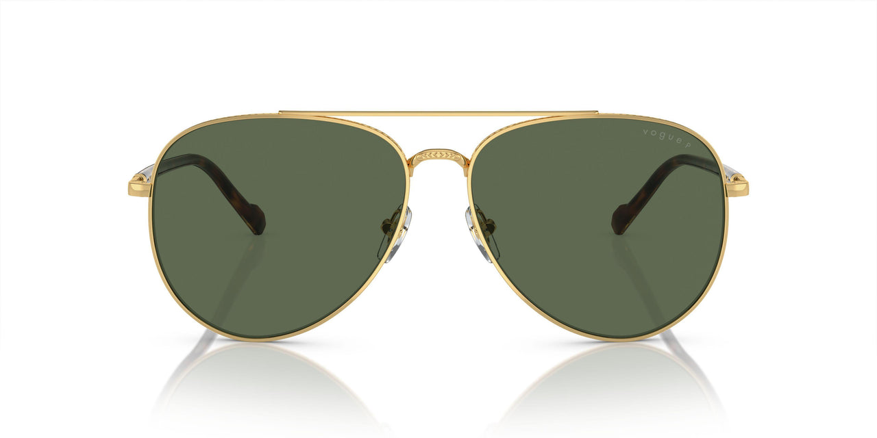 280/9A - Gold - Dark Green Polarized