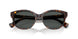 500387 - Brown - Grey