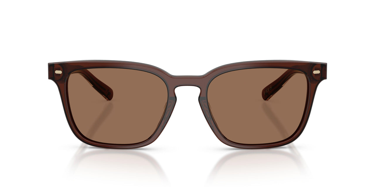 617273 - Red - Solid Brown