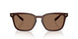 617273 - Red - Solid Brown