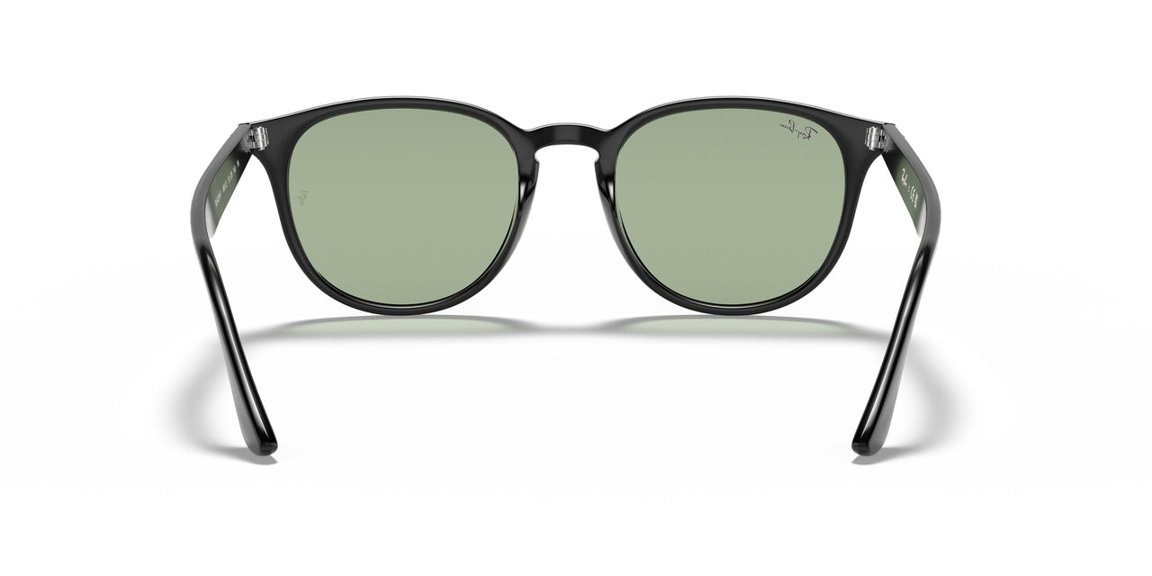 601/2 - Black - Light Green
