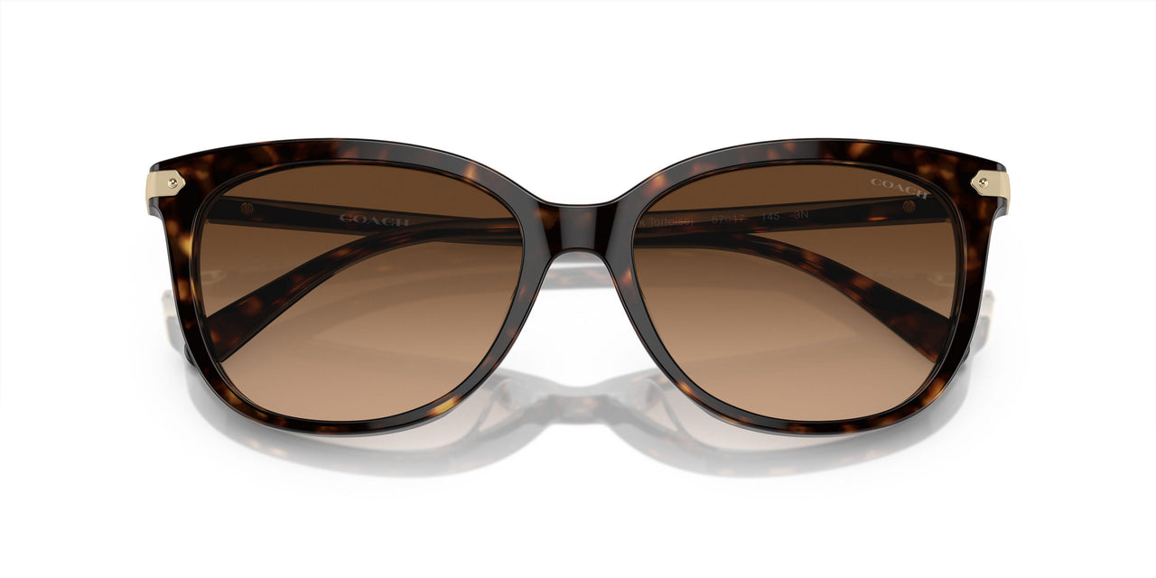 512074 - Tortoise - Brown Gradient