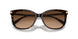 512074 - Tortoise - Brown Gradient