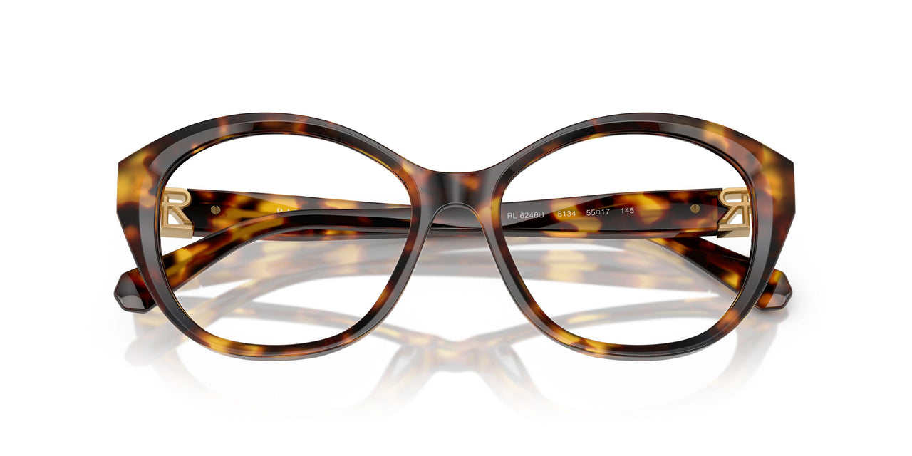 5134 - Tortoise