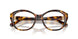 5134 - Tortoise