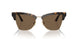 500273 - Brown - Dark Brown