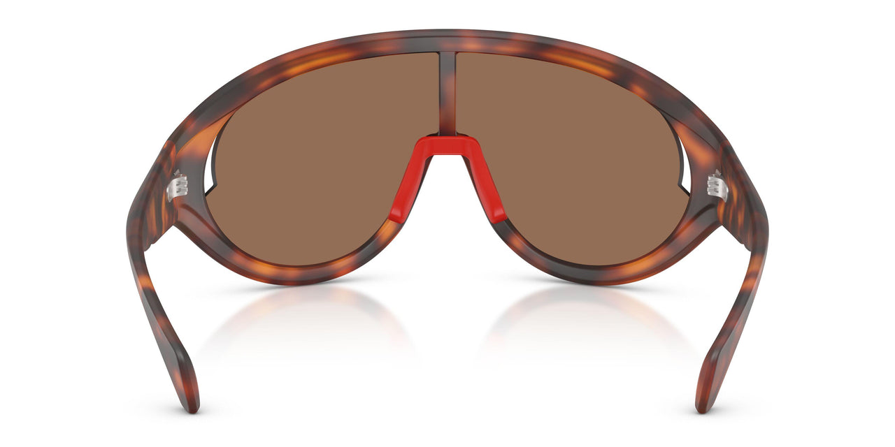502673 - Tortoise - Solid Brown