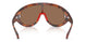 502673 - Tortoise - Solid Brown
