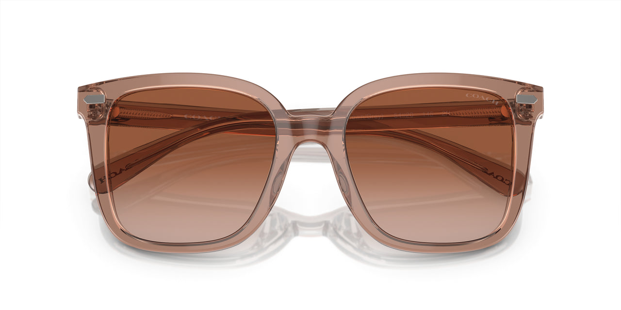 577913 - Brown - Brown Gradient