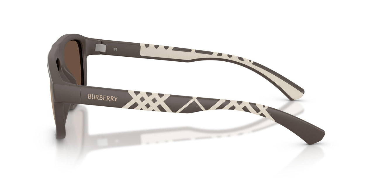 4234F9 - Brown - Brown Mirror Bronze