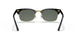 130358 - Black - Green Polar