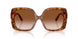 338013 - Tortoise - Brown Gradient