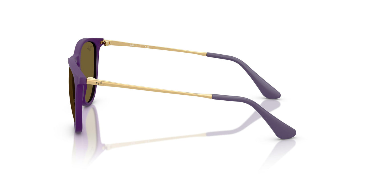 717973 - Violet - Dark Brown