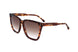 WR9 - BROWN HAVANA