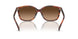 574174 - Tortoise - Brown Gradient