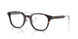 5026 - Tortoise