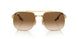 001/51 - Gold - Clear Gradient Brown