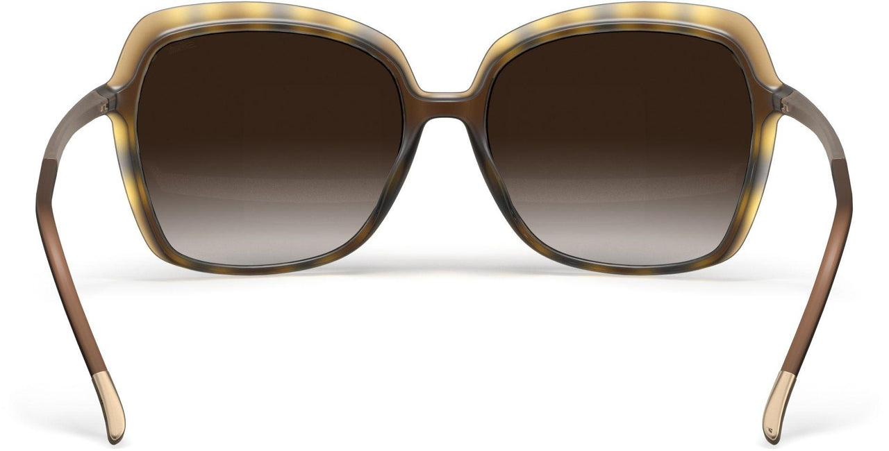 6230 - Havanna Mahogany - SLM RED BROWN GRADIENT