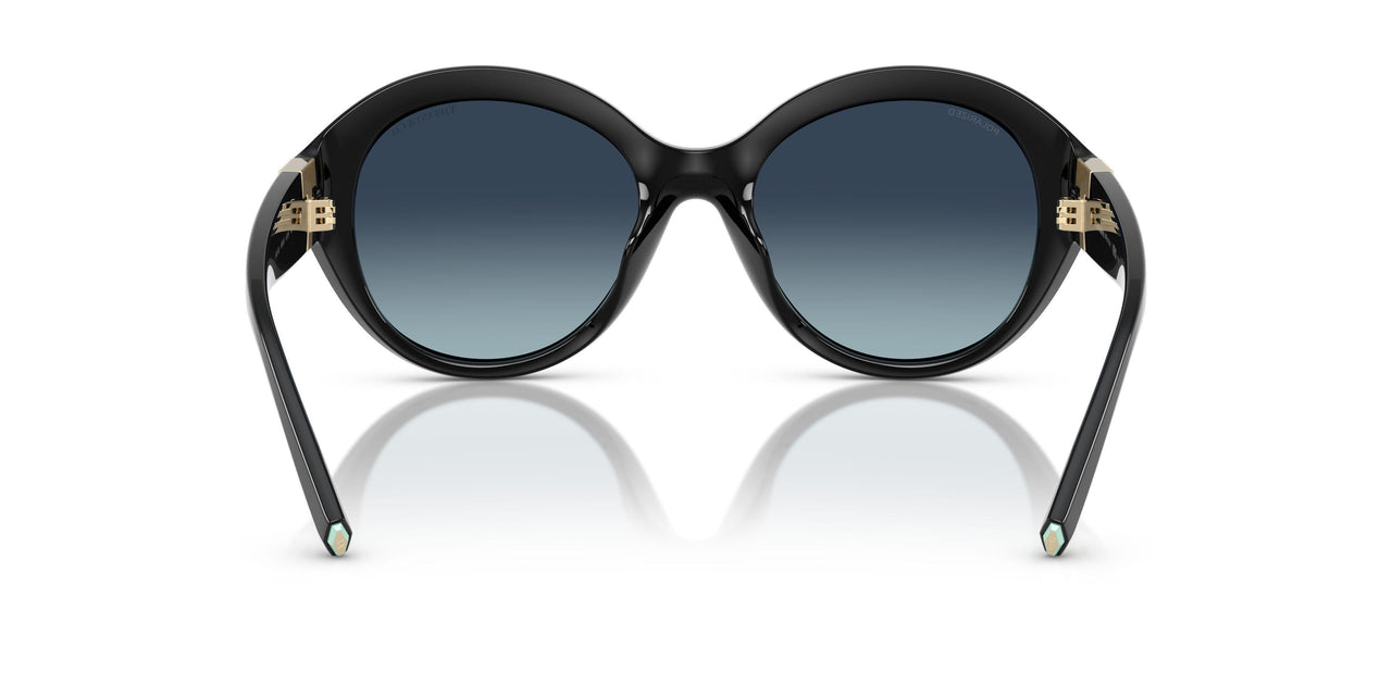 80014U - Black - Blue Gradient Polar