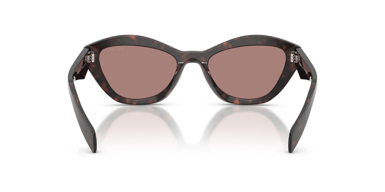 17N60B - Tortoise - Light Brown