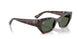 135971 - Tortoise - Dark Green