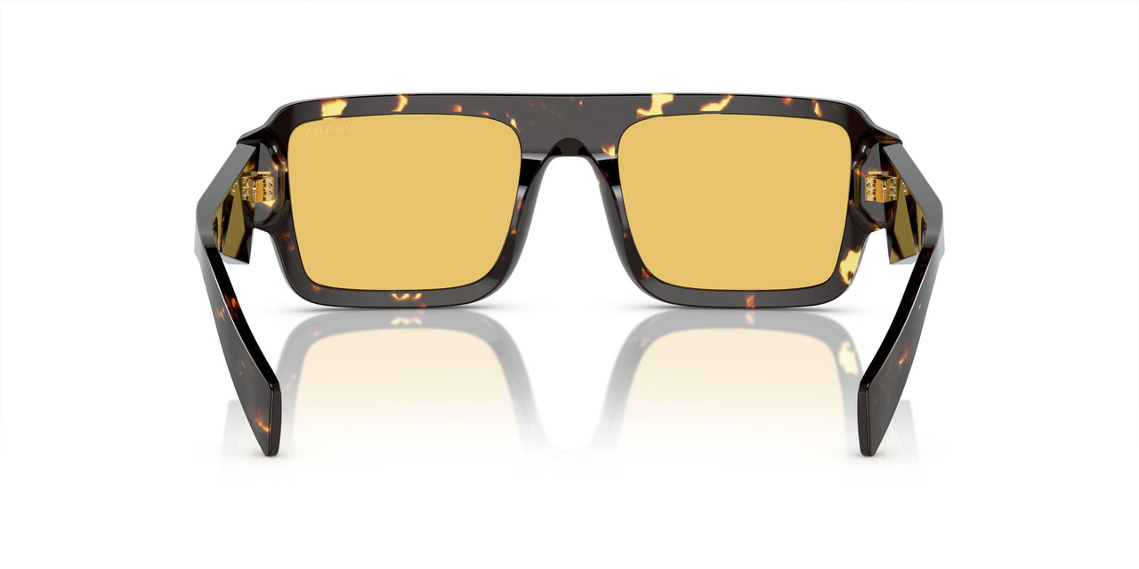16O10C - Brown - Yellow