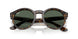 6790VR - Tortoise - Dark Green
