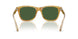 618571 - Tortoise - Bottle Green