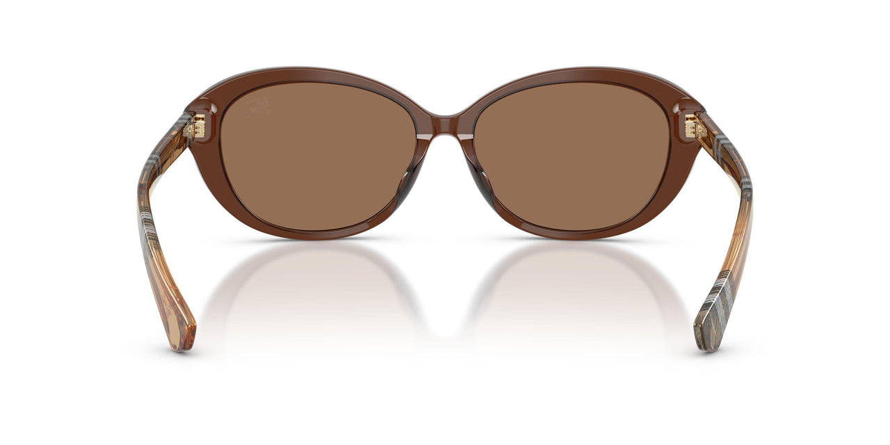 424373 - Brown - Dark Brown