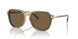 579773 - Transparent Green Tan Gradient - Brown Solid