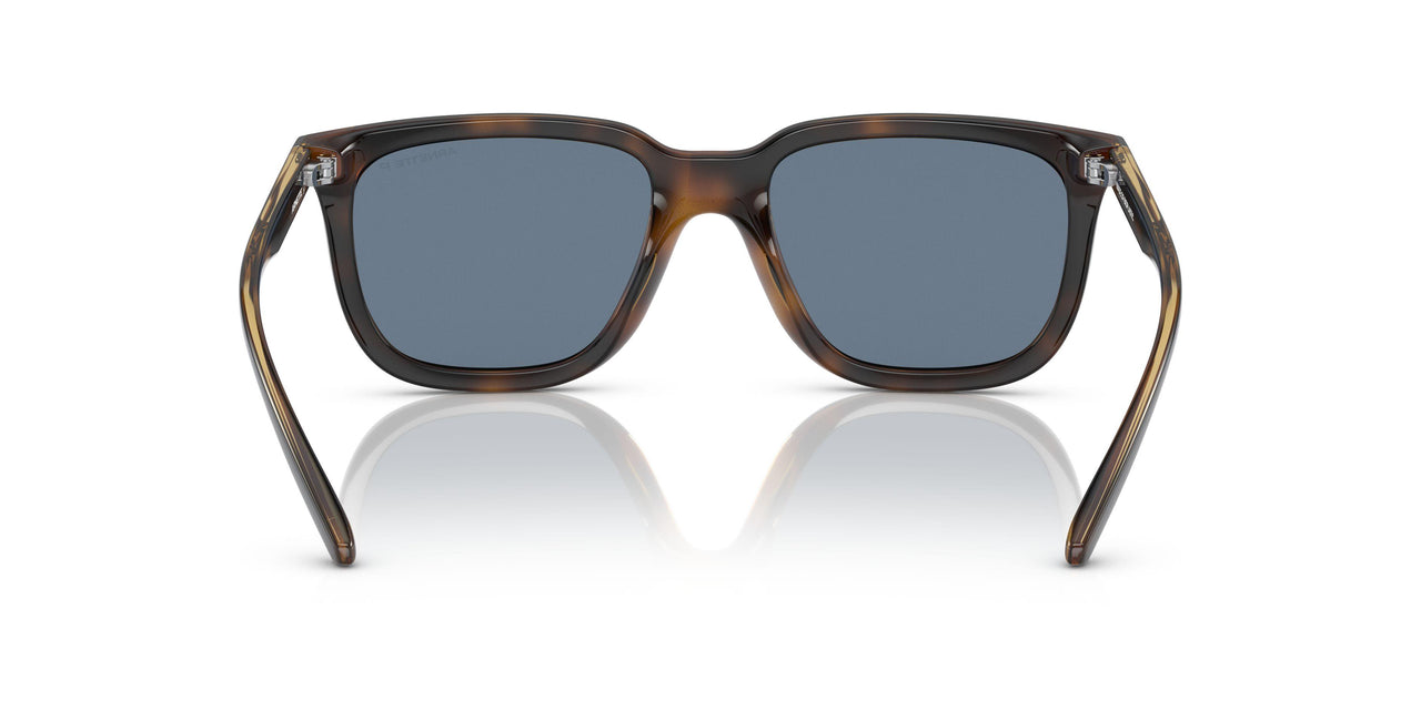 27702V - Havana - Dark Blue Polar