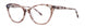 Vera Wang V743 Eyeglasses