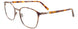 10 - Demi Brown & Matt Light Brown / Demi Amber