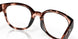 905103 - Tortoise