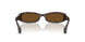 004/57 - Tortoise - Polar Brown