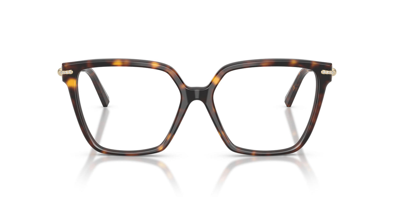 8015 - Tortoise