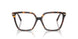 8015 - Tortoise