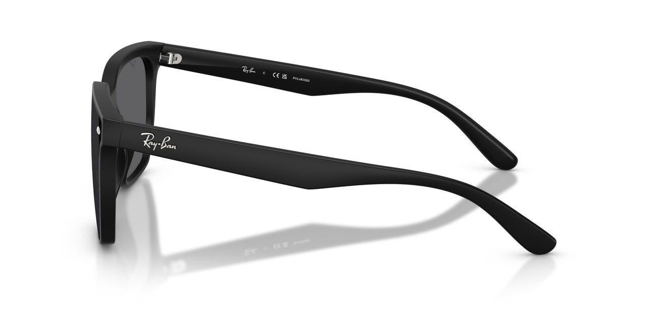 601S81 - Black - Polarized Grey