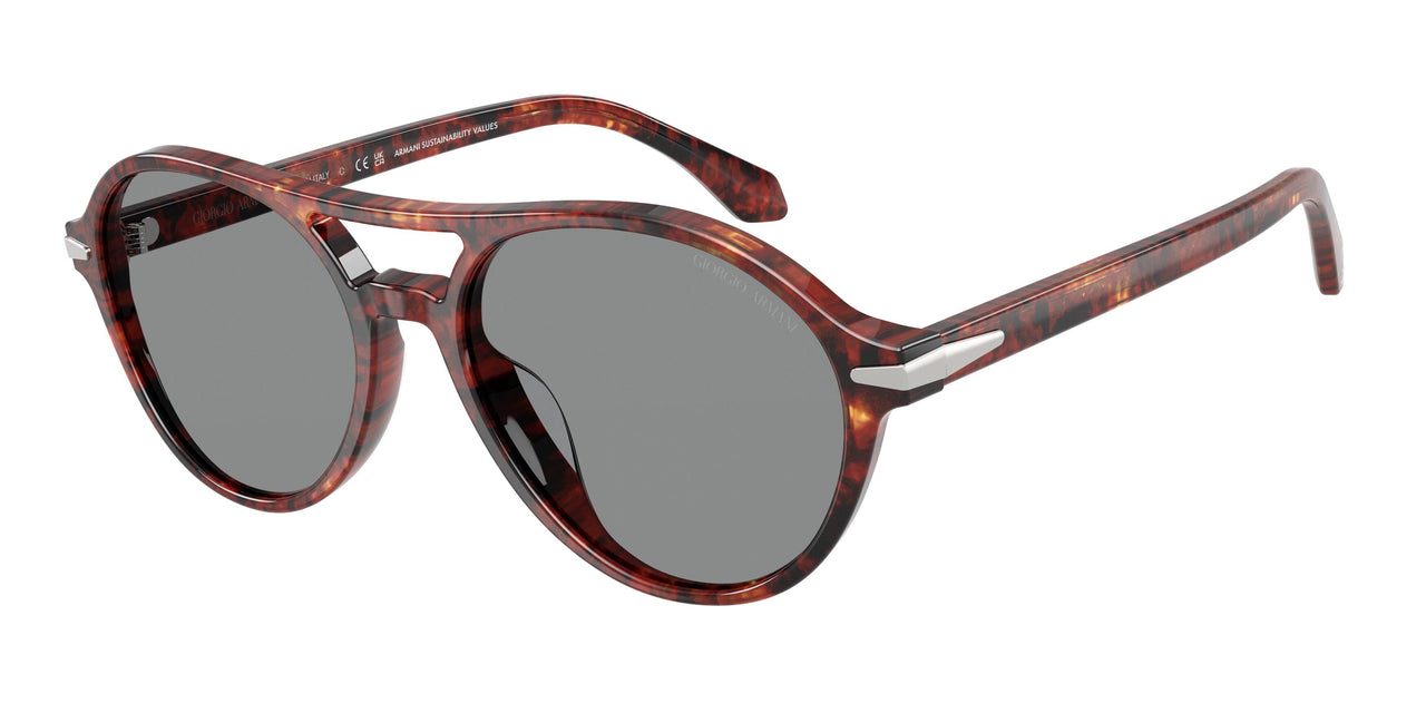 623402 - Tortoise - Blue