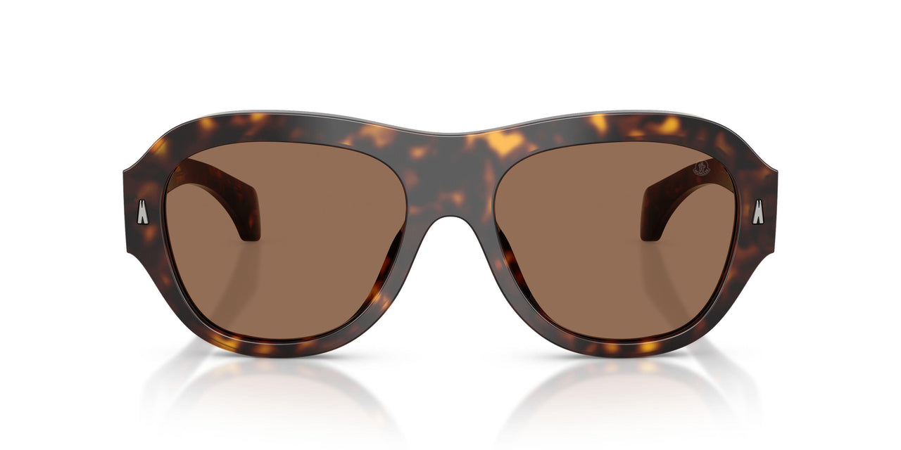 300273 - Tortoise - Brown Solid