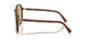 26E10R - Brown - Yellow