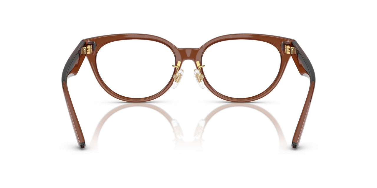 5508 - Brown