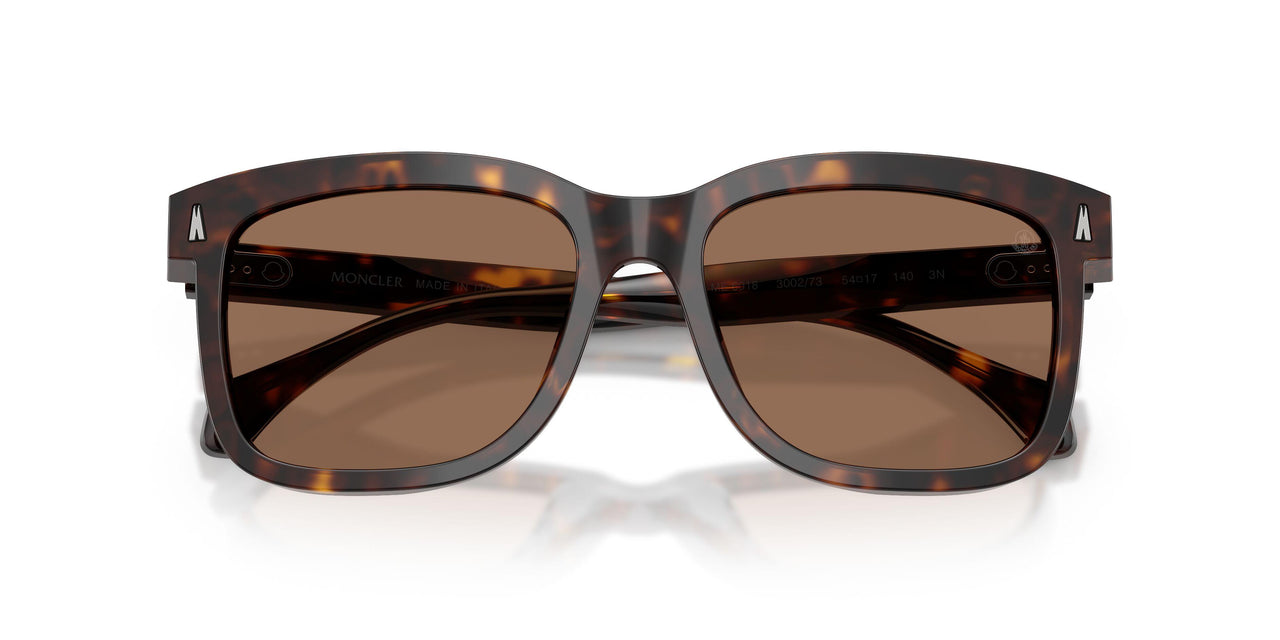 300273 - Tortoise - Brown Solid